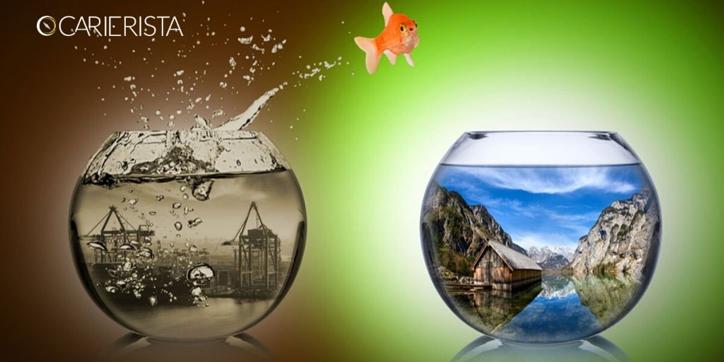 Όταν η προσαρμοστικότητα είναι η μόνη διέξοδος