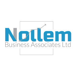 NOLLEM BUSINESS ASSOCIATES LTD