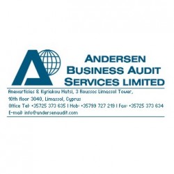 ANDERSEN BUSINESS AUDIT SERVICES LTD