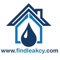 Find Leak Cy