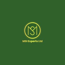 MSI EXPERTS LTD
