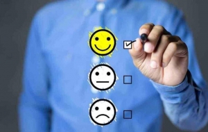 Incorporating Sentiment Analysis into E-commerce